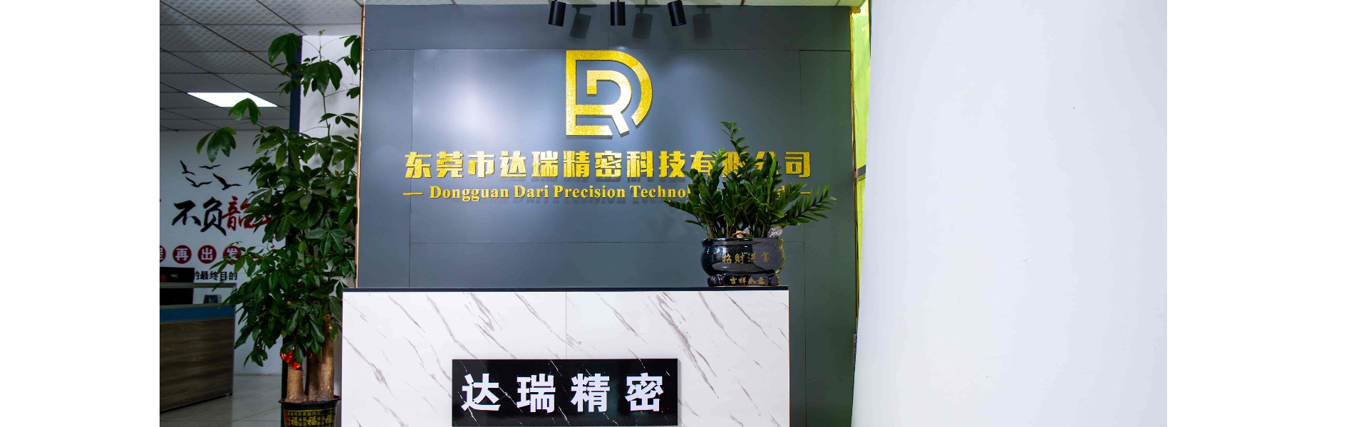 Kunststoffform, Spritzguss, Kunststoffhülle,Dongguan Darui Precision Technology Co., Ltd.